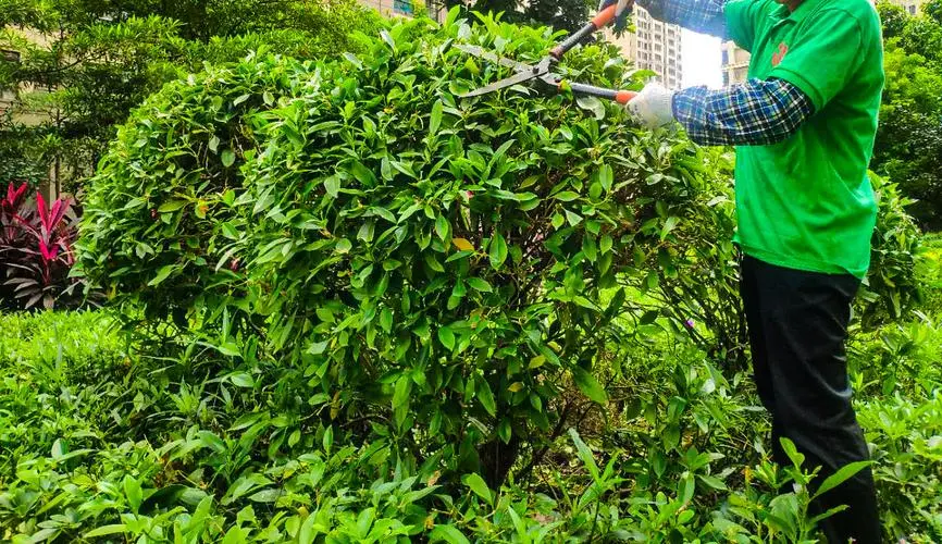 古典园林景观设计要素
