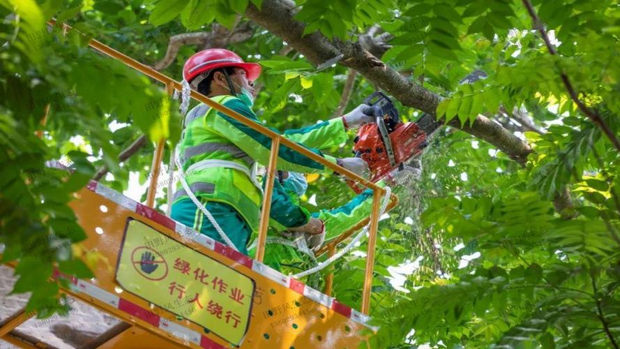 古达乡绿化工程
